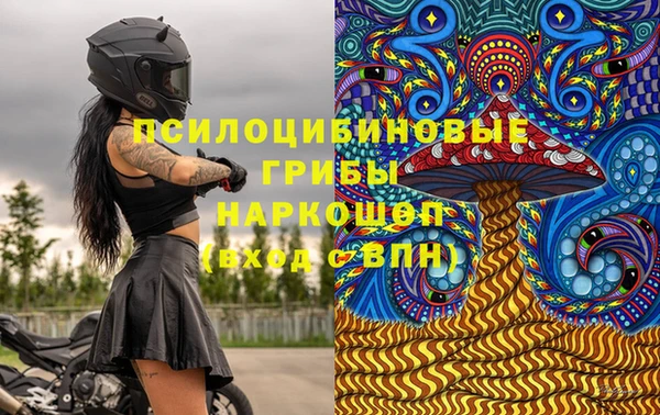 синтетический гашиш Козловка
