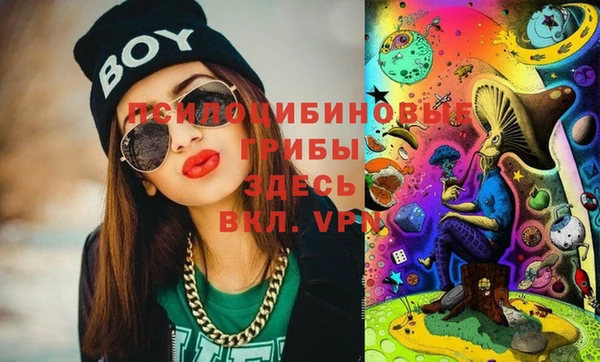 марки lsd Козельск
