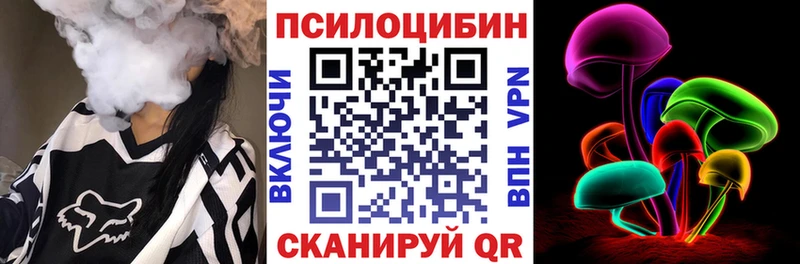 blacksprut   Починок  Псилоцибиновые грибы Cubensis 