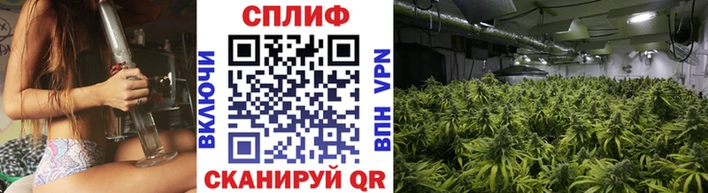 Конопля Bruce Banner  Починок 